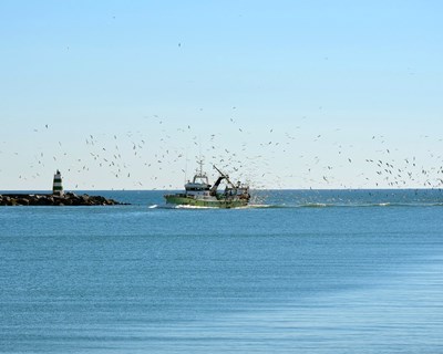 €508 milhões para fomentar as potencialidades do mar português