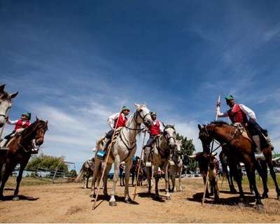 55ª Feira Nacional de Agricultura apresentada a 14 de maio