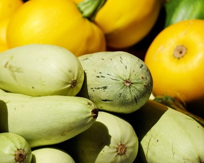 6.ª edição do curso de Modo de Produção Biológico