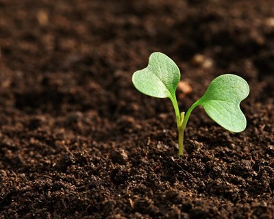 60% da opinião pública considera que PAC beneficia todos os cidadãos e não apenas agricultores