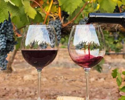 7.º Festival do Vinho do Douro Superior em Vila Nova de Foz Côa