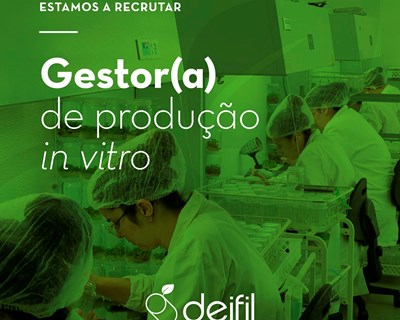 A Deifil está a recrutar - Gestor(a) de produção in vitro