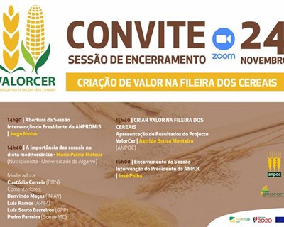 A importância dos cereais na Dieta Mediterrânica