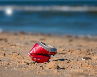 A maior limpeza de praia está de regresso ao Porto