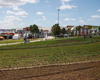 «A política agrícola deste Governo perdeu gás»