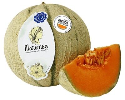 A produção de meloa nos Açores
