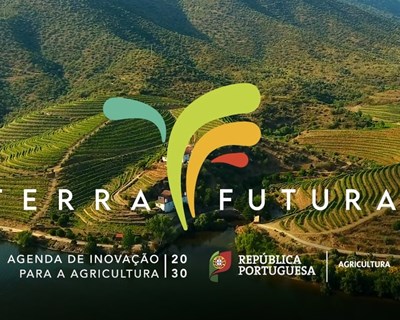 A Rede de Inovação da Agenda de Inovação da Agricultura 20|30