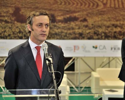 «A viticultura na Bairrada caminha para ser cada vez mais sustentável»