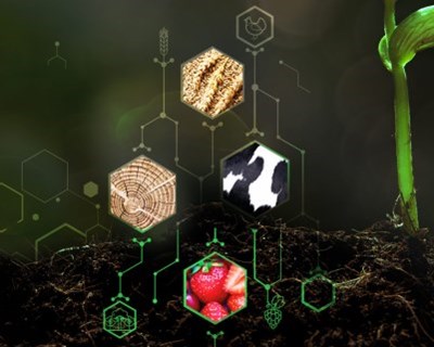 Abertas candidaturas para o “Prémio Empreendedorismo e Inovação Crédito Agrícola”
