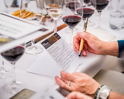 Academia online de formação em vinhos da ViniPortugal disponível em língua portuguesa