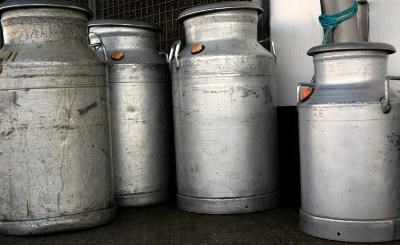 Açores: Governo regional anuncia apoio extraordinário aos produtores de leite