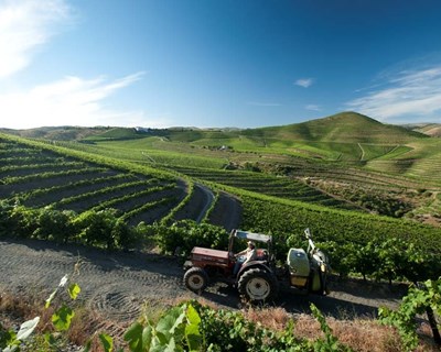 Açores implementam novo regime jurídico da Reserva Agrícola Regional