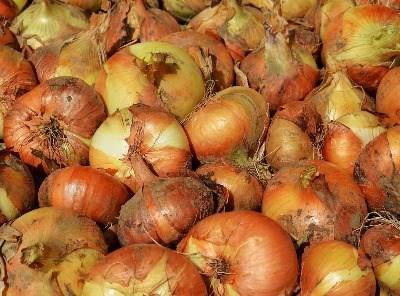 Açores pedem mais 20 milhões de euros para a agricultura