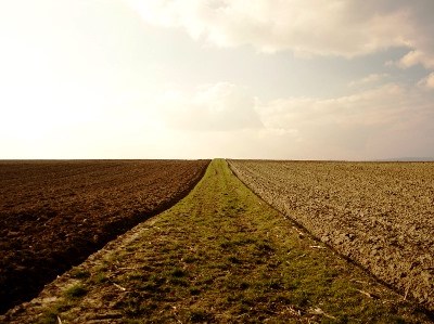 Açores recebem “Conversas de Agricultura”