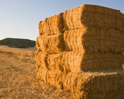 ACOS solidária com agricultores vítimas dos incêndios