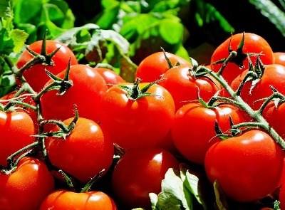 ADREPES abre período de candidaturas a pequenos investimentos de exploração agrícola