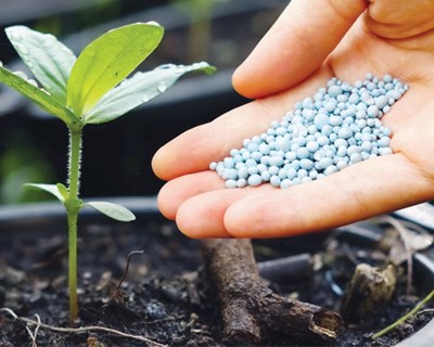 Adubos: barreiras alfandegárias prejudicam agricultores