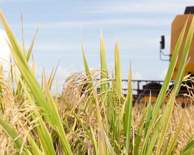 AEP regressa ao Dubai com megacomitiva do setor alimentar