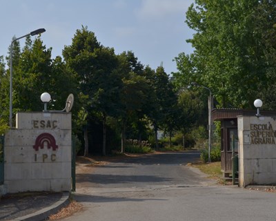 Agrária de Coimbra investe em sustentabilidade: projetos inovadores de eficiência energética e hídrica