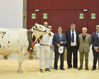 Agri Milk Show 2017 aposta nas novas tecnologias e promoção dos laticínios