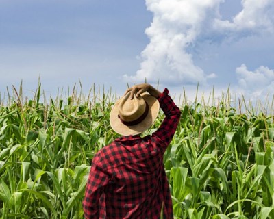 AGRI organiza audiência sobre inovação para uma agricultura sustentável