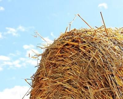 Agricultores americanos recebem 7 mil milhões de dólares em subsídios