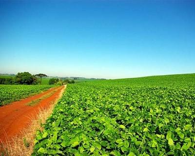Agricultores continuam a querer investir mas aprovação de projetos demora mais
