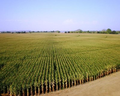 Agricultores da Guarda preocupados com futuro do setor no interior