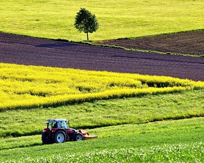 Agricultores do Sul reivindicam alargamento do regadio de Alqueva e a criação de um grande cluster agroalimentar no sul