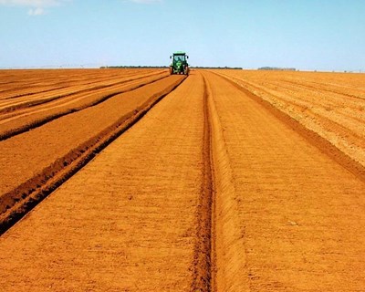 Agricultores e as Cooperativas Agrícolas Europeias apelam ao reforço do apoio ao setor agrícola