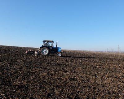 Agricultores já podem aderir a Agrupamentos de Produtores Multiprodutos