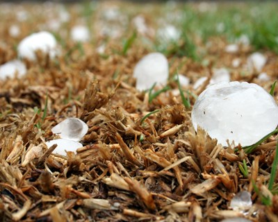 Agricultores prejudicados pelo granizo recebem crédito de um milhão de euros