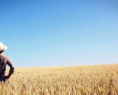Agricultores vão pagar menos IRS