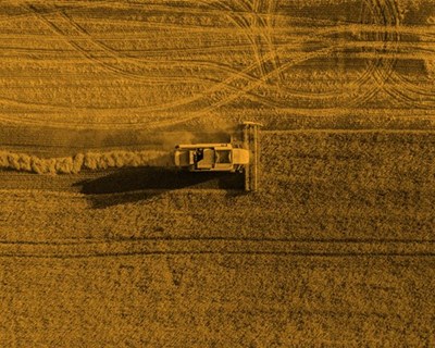 Agricultura: Beja cria “Executive Investment Day”