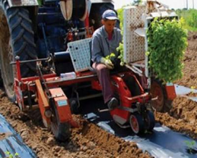 Agricultura Biológica: A união faz a força