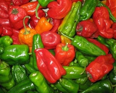 Agricultura biológica cresce em Espanha