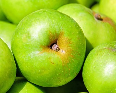 Agricultura biológica cresce na República Checa