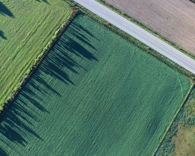 Agricultura biológica vai beneficiar de 900 mil euros do PDR 2020