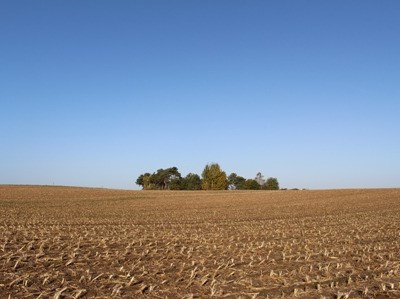 Agricultura com menos €77,5 milhões para gastar em 2016