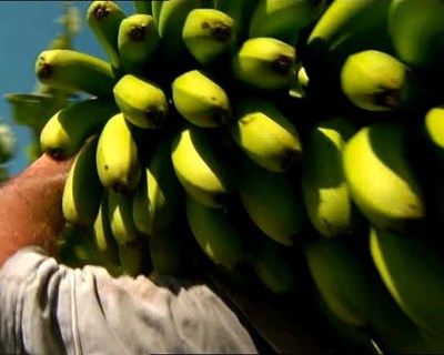 Agricultura com rótulo…