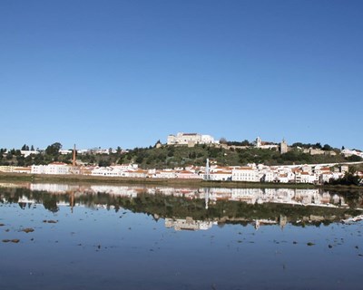 Agricultura e floresta em destaque em Alcácer do Sal
