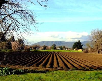 Agricultura: eurodeputados exigem reforço de verbas