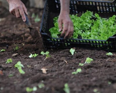 “Agricultura familiar, agricultura biológica e desenvolvimento rural” em debate