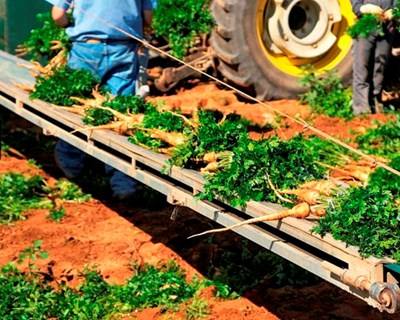 Agricultura gasta €6,4 milhões para controlar ajudas comunitárias