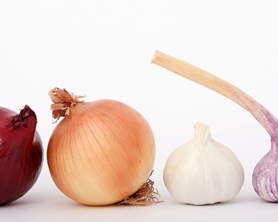 Agricultura impulsiona economia da Ucrânia