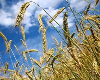 Agricultura: Portugal recebe quase €6,5 milhões de Bruxelas