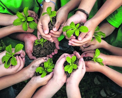 Agricultura sustentável: SAGRI arranca em Portugal