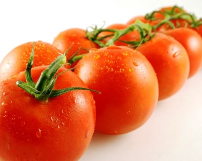 Agroalimentar: Comissão Europeia lança programa de exportação de produtos