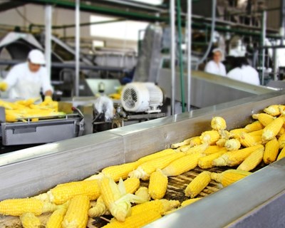 Agroalimentar: Governo conclui reestruturação dos laboratórios do Estado