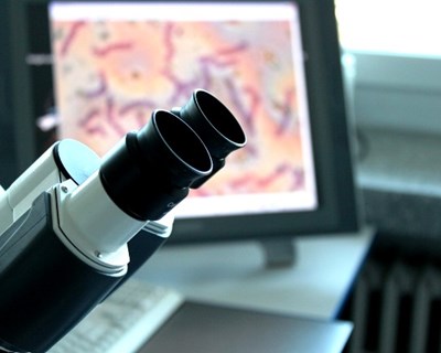 Agroalimentar: seminário aborda aplicações de metodologias na indústria
